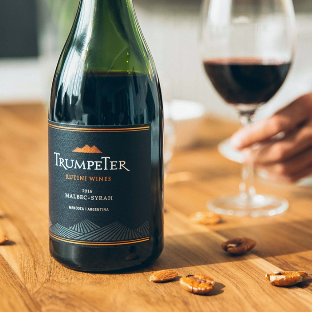 Vino 4 Prueba los mejores vinos en nuestras catas de degustacion