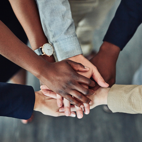 team building para equipos team building para equipos