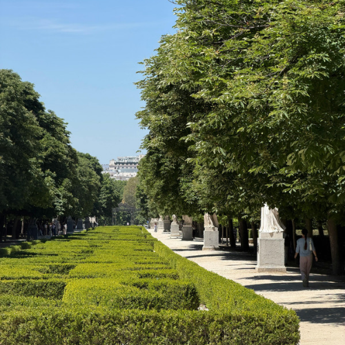 tipos gymkanas en jardines de Madrid